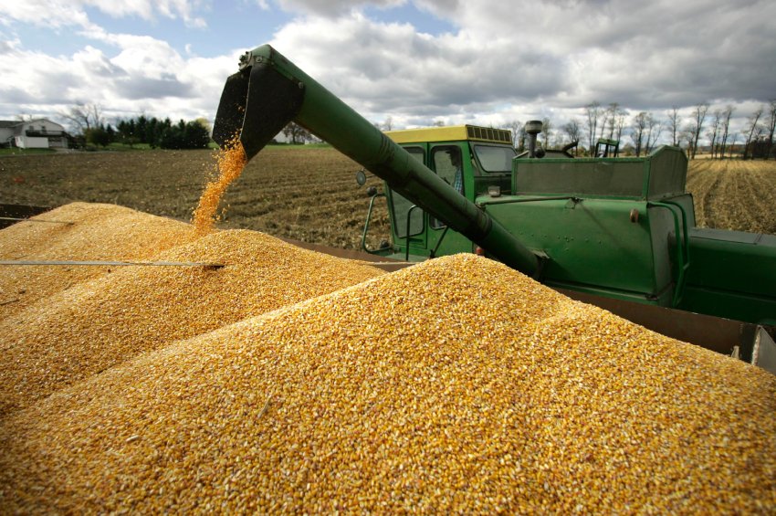 Dale Rossman empties a load of corn into a truck from his combine while harvesting corn on his farm in Spring Mills, Pa., Sunday, Oct. 28, 2007. (AP Photo/Carolyn Kaster)